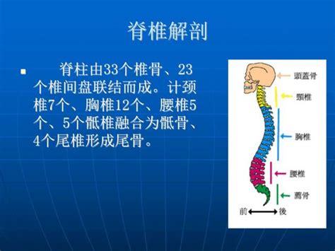 屈曲意思|屈曲 的意思、解釋、用法、例句